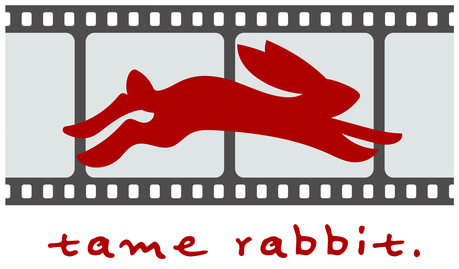 tame rabbit.